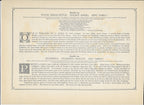 1894 Wild Flowers of America Print - Rough Hedge-Nettle & Zygadenus