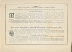 1894 Wild Flowers of America Print - Fringed Loosestrife & Great Willow-Herb