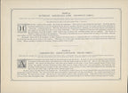 1894 Wild Flowers of America Print - Buttercup & Great Labrador-Tea