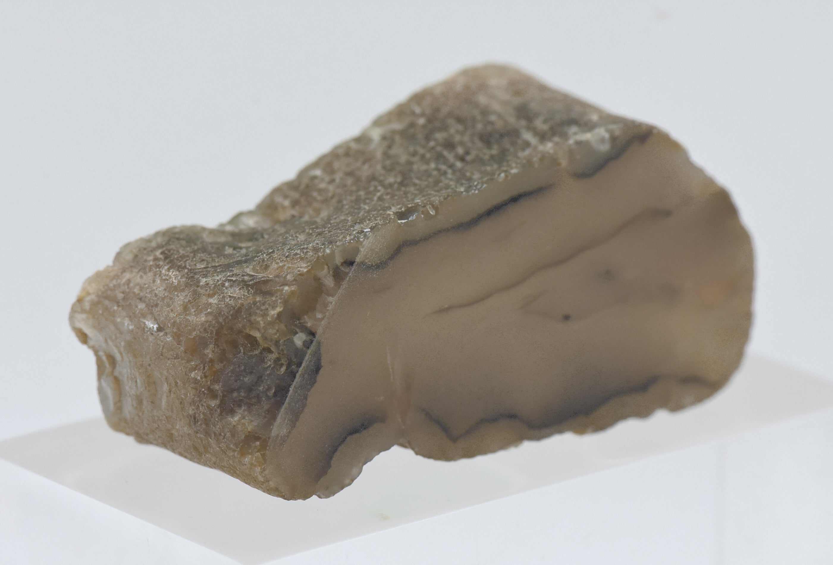 Thick Slice of Agate