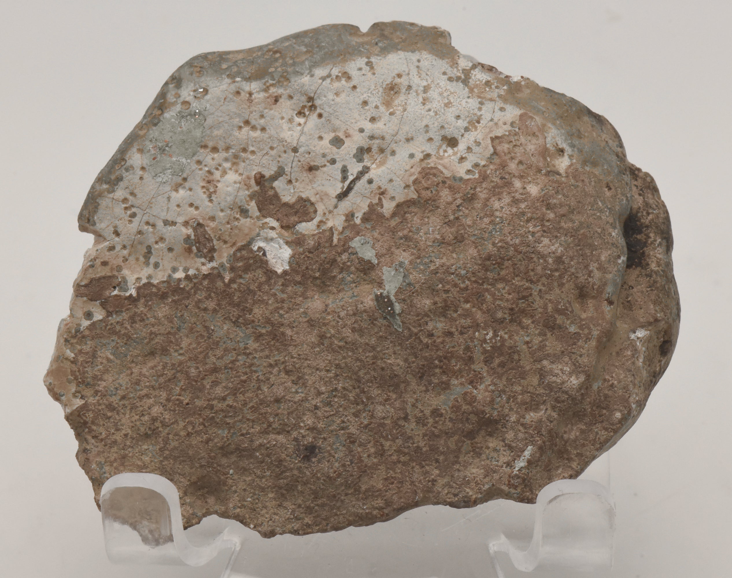 Polished Agate Slice - Texas