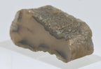 Thick Slice of Agate