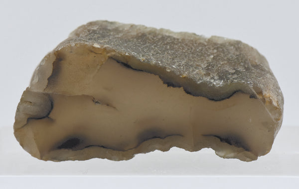 Thick Slice of Agate
