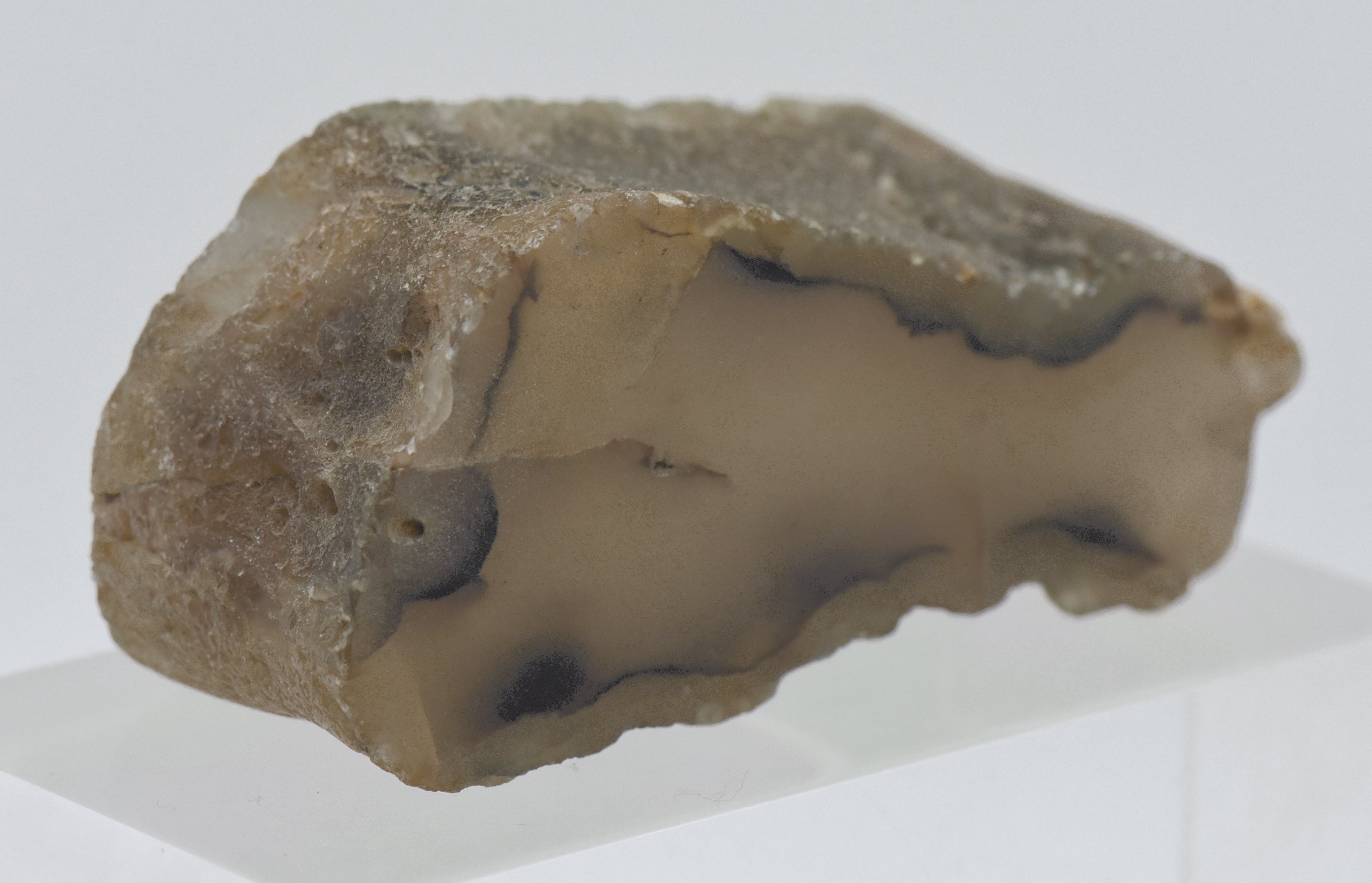 Thick Slice of Agate