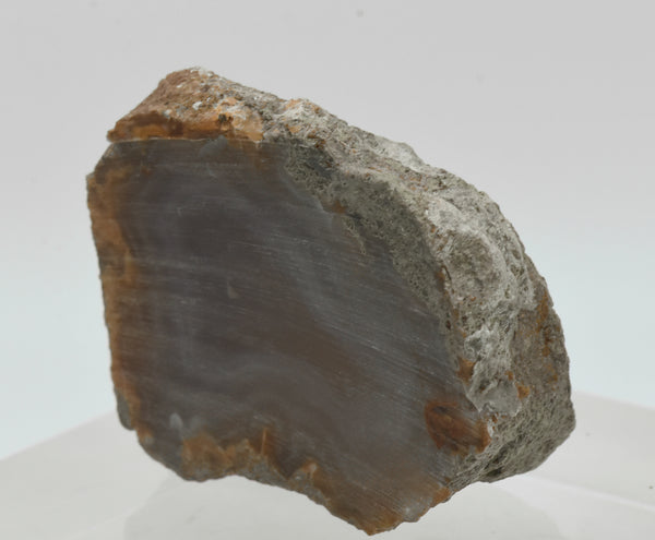 Unpolished Agate Nodule Half