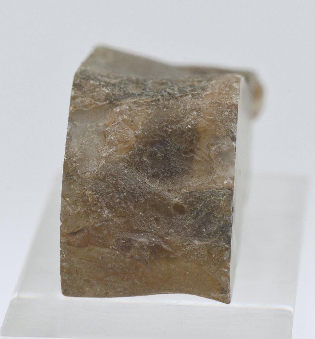 Thick Slice of Agate