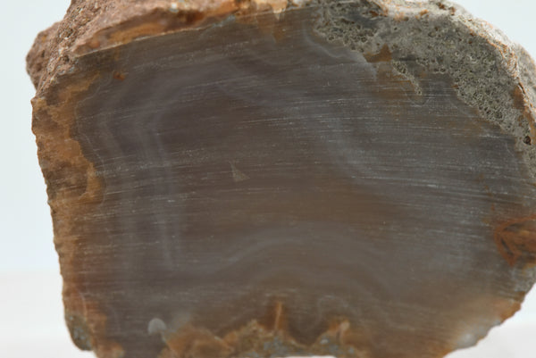 Unpolished Agate Nodule Half