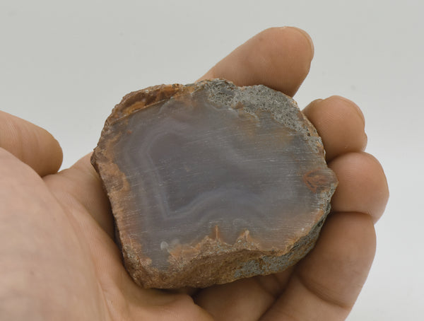 Unpolished Agate Nodule Half