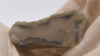 Thick Slice of Agate