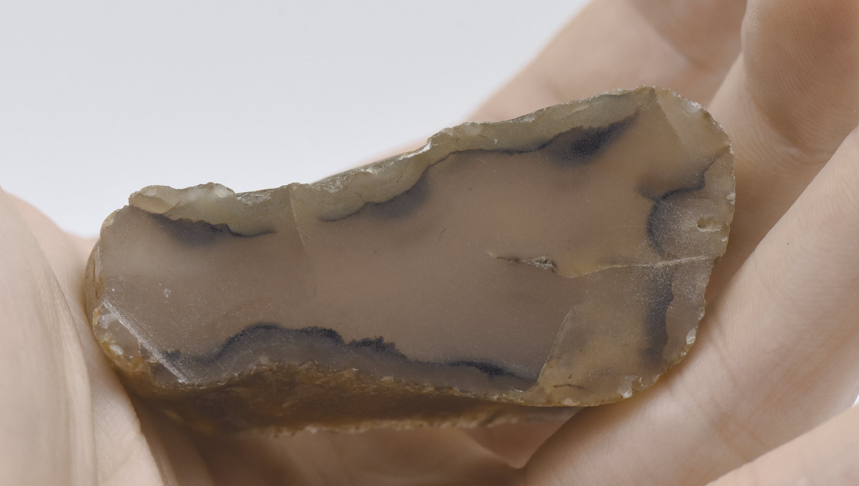 Thick Slice of Agate