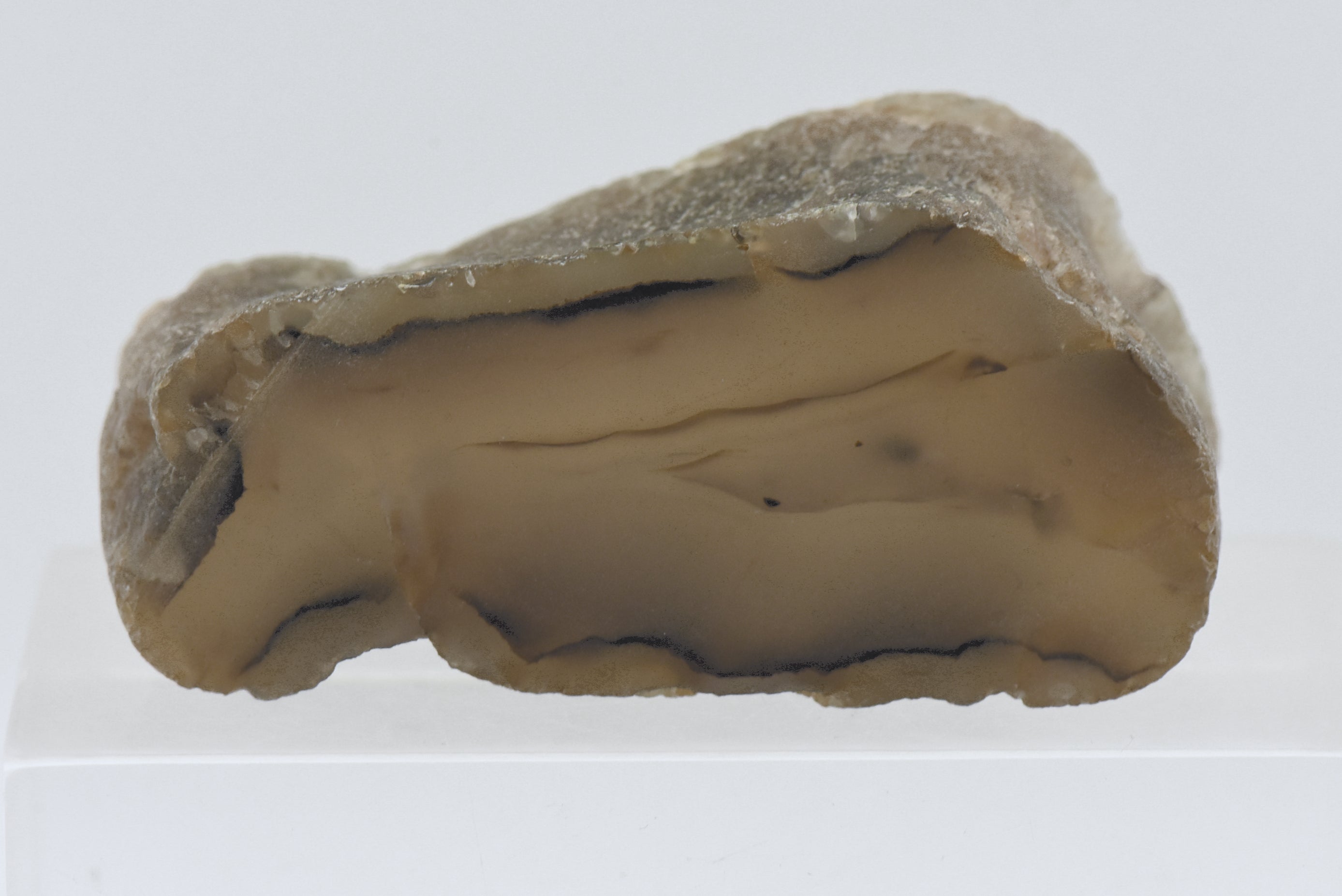 Thick Slice of Agate