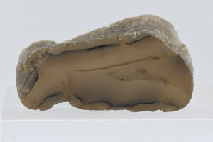 Thick Slice of Agate