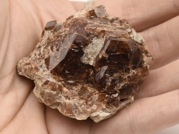 Andradite Garnet Cluster Specimen - California