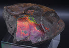 Ammolite Iridescent Fossil Specimen