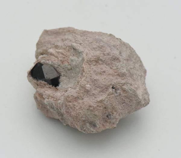 Almandine Garnet with Quartz Druze in Matrix - Nevada, USA