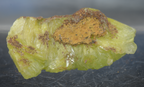 Adamite Crystal Cluster - 12g