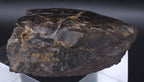 Ammolite Iridescent Fossil Specimen