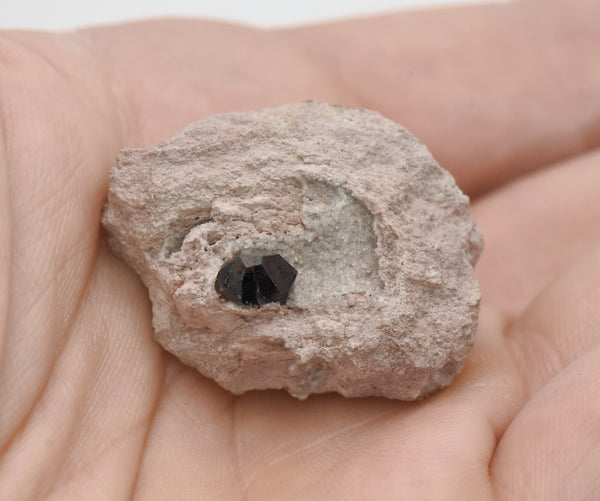 Almandine Garnet with Quartz Druze in Matrix - Nevada, USA