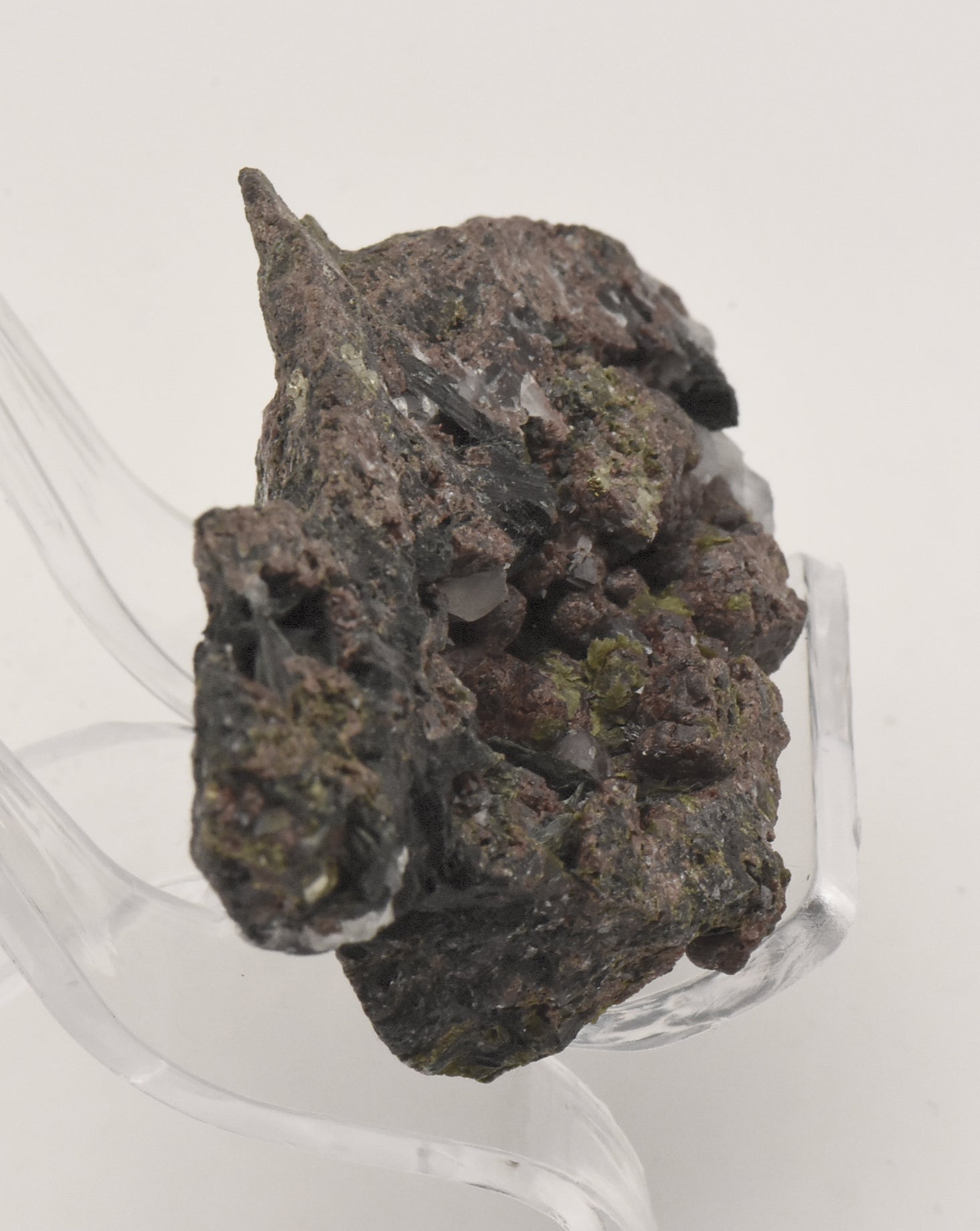 Andradite and Ferropargasite Mineral Specimen - Spain