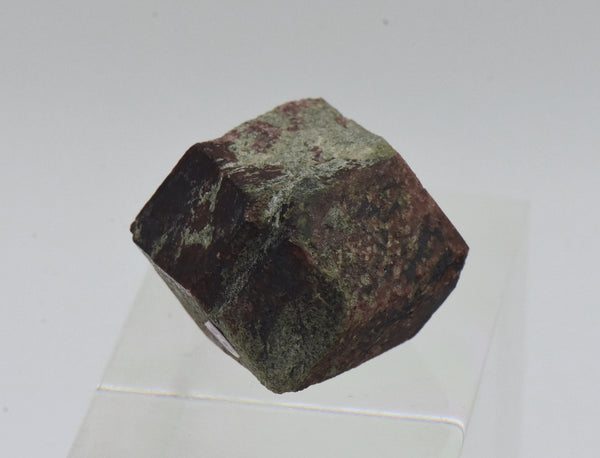 Andradite Garnet Crystal Mineral Specimen - Austria