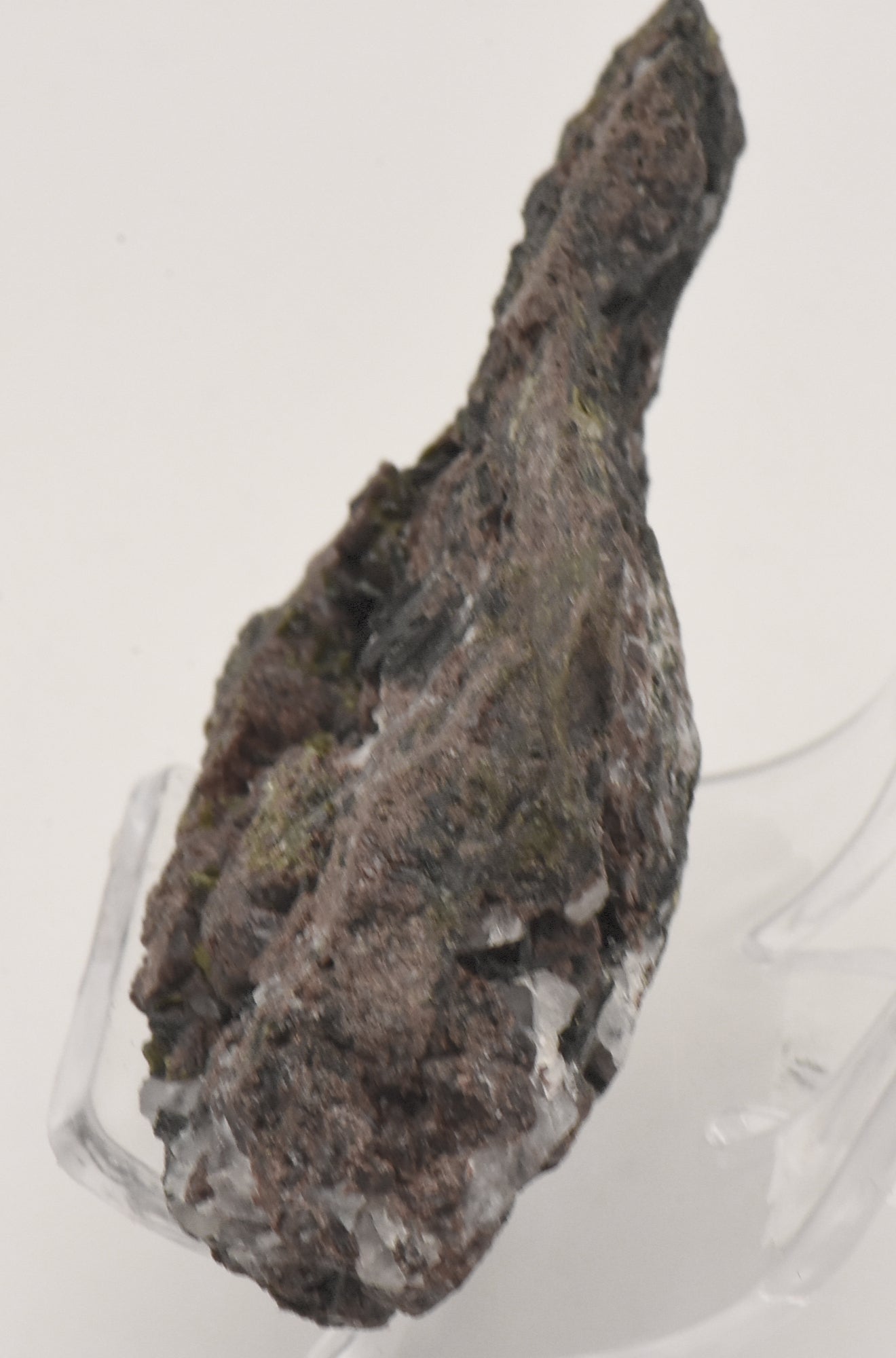 Andradite and Ferropargasite Mineral Specimen - Spain