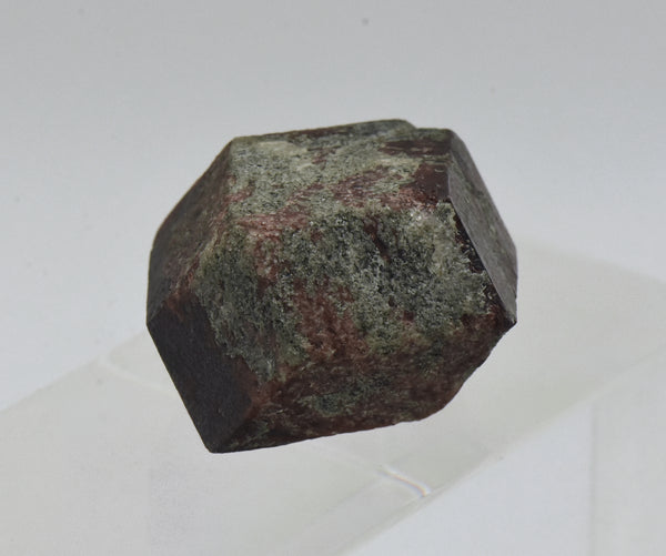 Andradite Garnet Crystal Mineral Specimen - Austria