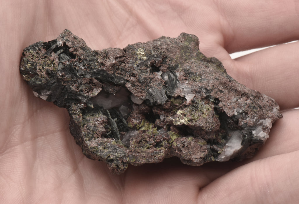 Andradite and Ferropargasite Mineral Specimen - Spain