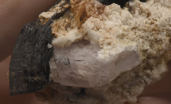 Pink Apatite Crystal on Schorl Tourmaline Mineral Specimen - Pakistan