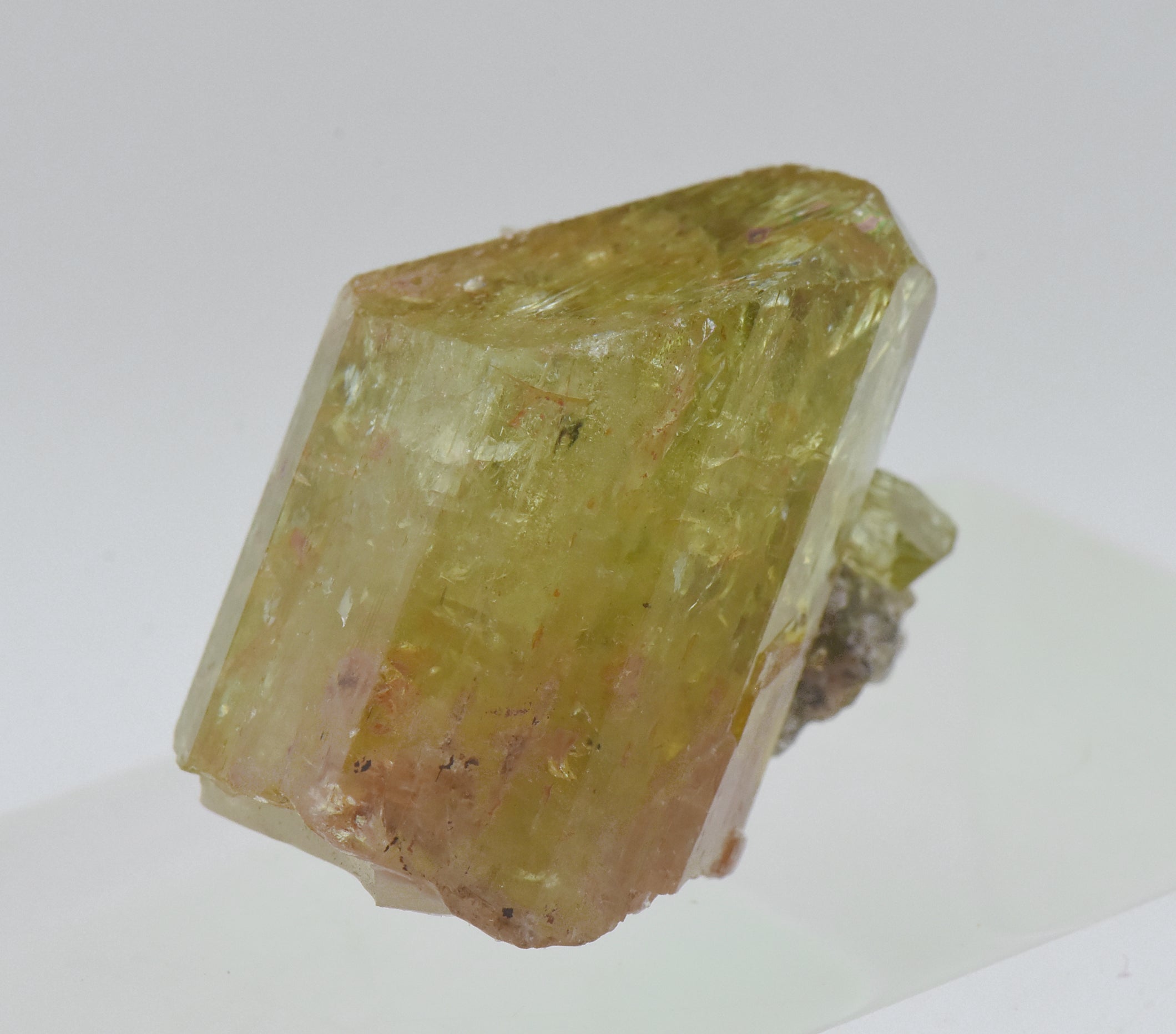 Stunning Yellow Fluorapatite Crystal Mineral Specimen - Mexico