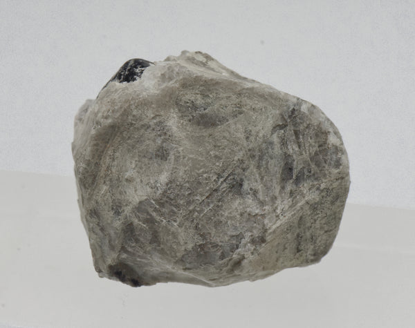 Apache Tear in Perlite Matrix Mineral Specimen