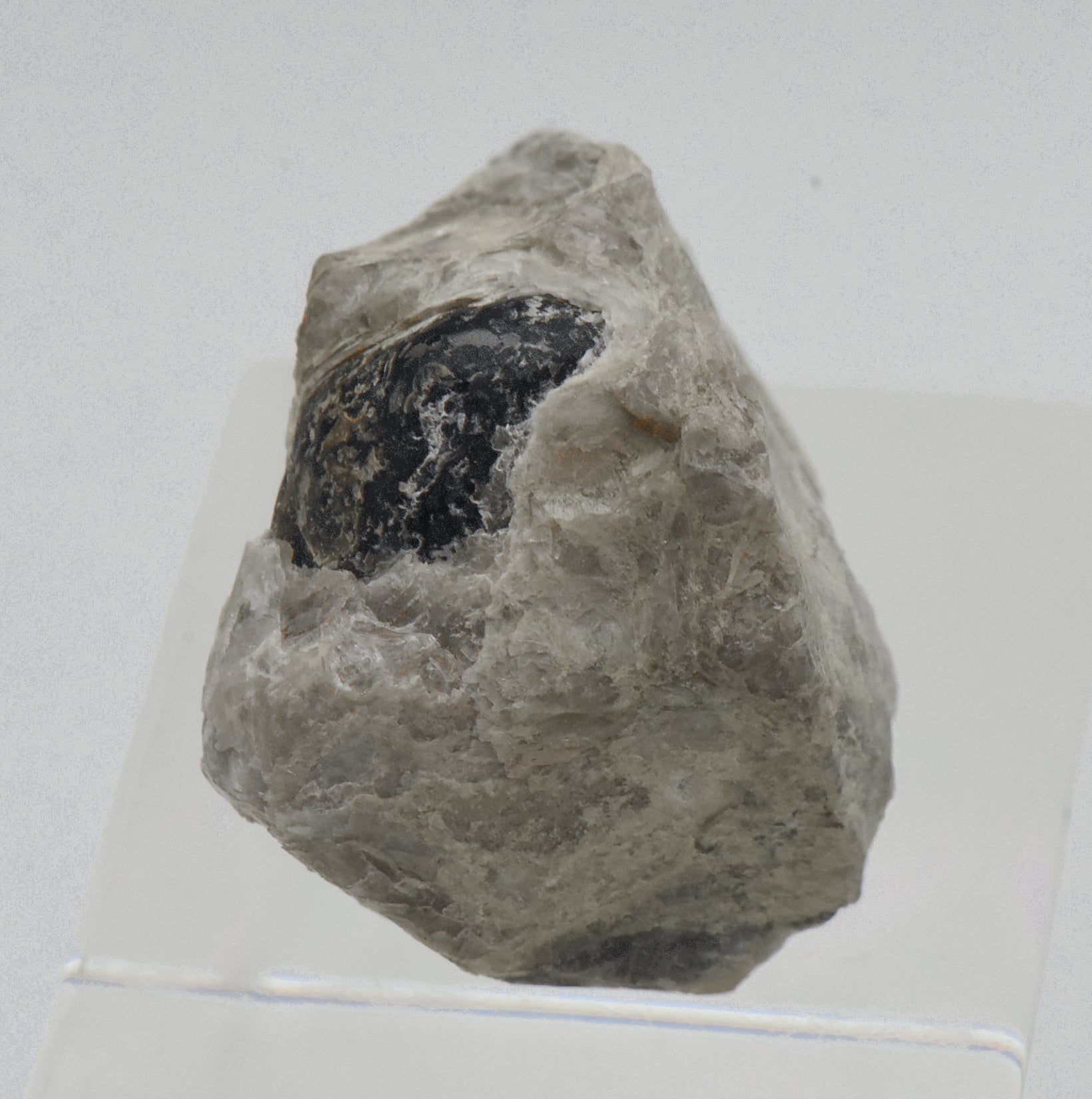 Apache Tear in Perlite Matrix Mineral Specimen