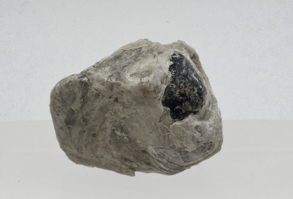 Apache Tear in Perlite Matrix Mineral Specimen