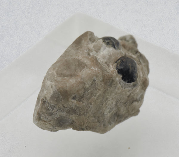 Apache Tears in Perlite Matrix Mineral Specimen