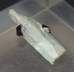 Aquamarine with Garnets Crystal MIneral Specimen - Pakistan