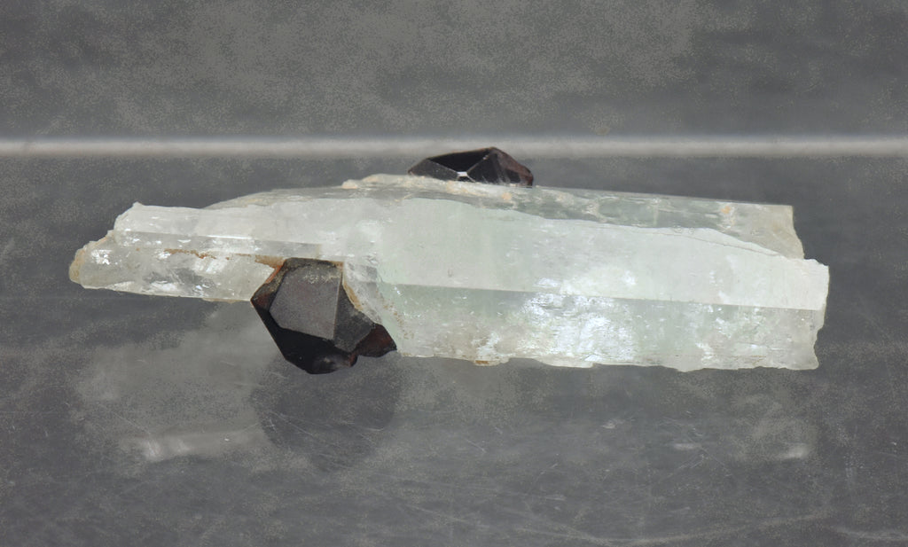 Aquamarine with Garnets Crystal MIneral Specimen - Pakistan
