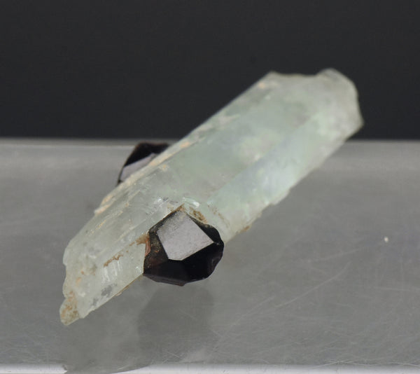 Aquamarine with Garnets Crystal MIneral Specimen - Pakistan