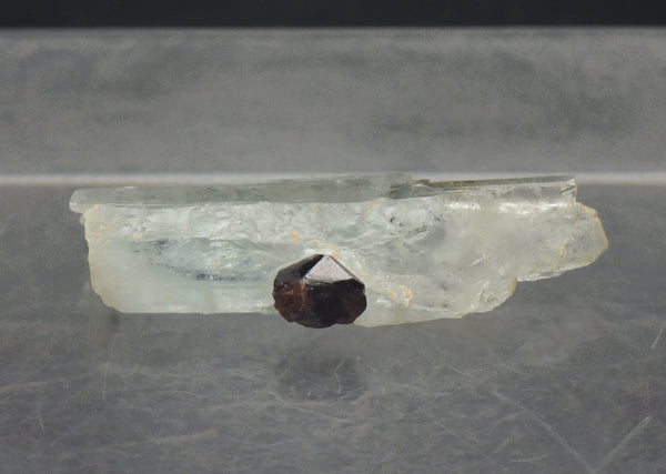 Aquamarine with Garnets Crystal MIneral Specimen - Pakistan