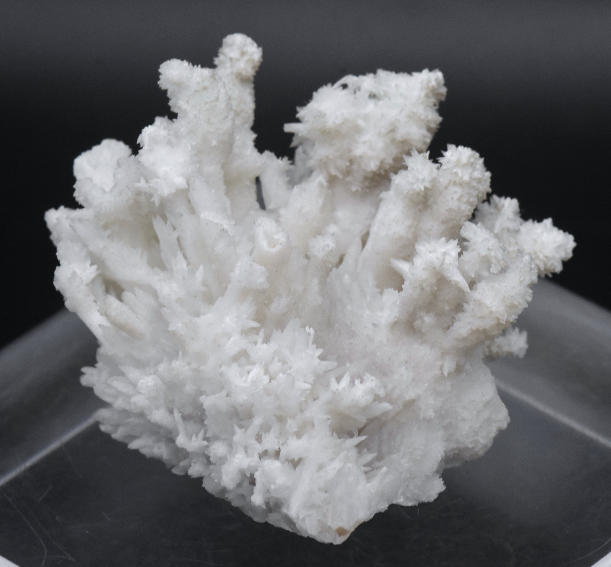 Aragonite "Flos Ferri" Crystal Cluster