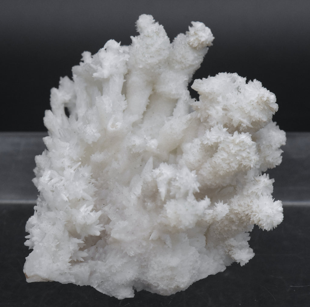 Aragonite "Flos Ferri" Crystal Cluster