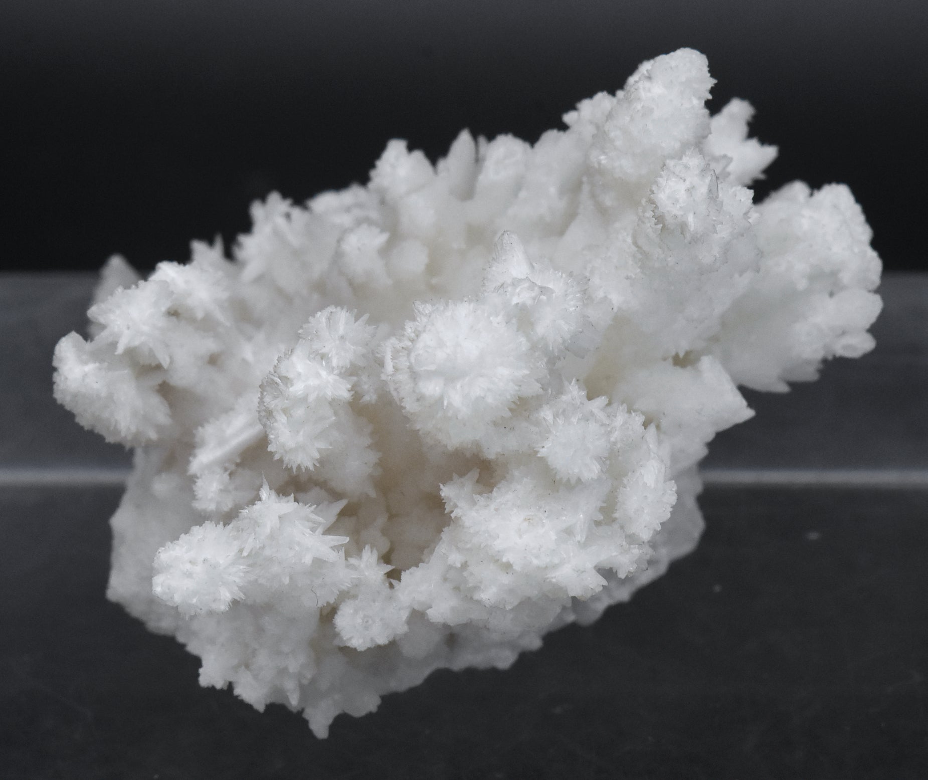 Aragonite "Flos Ferri" Crystal Cluster