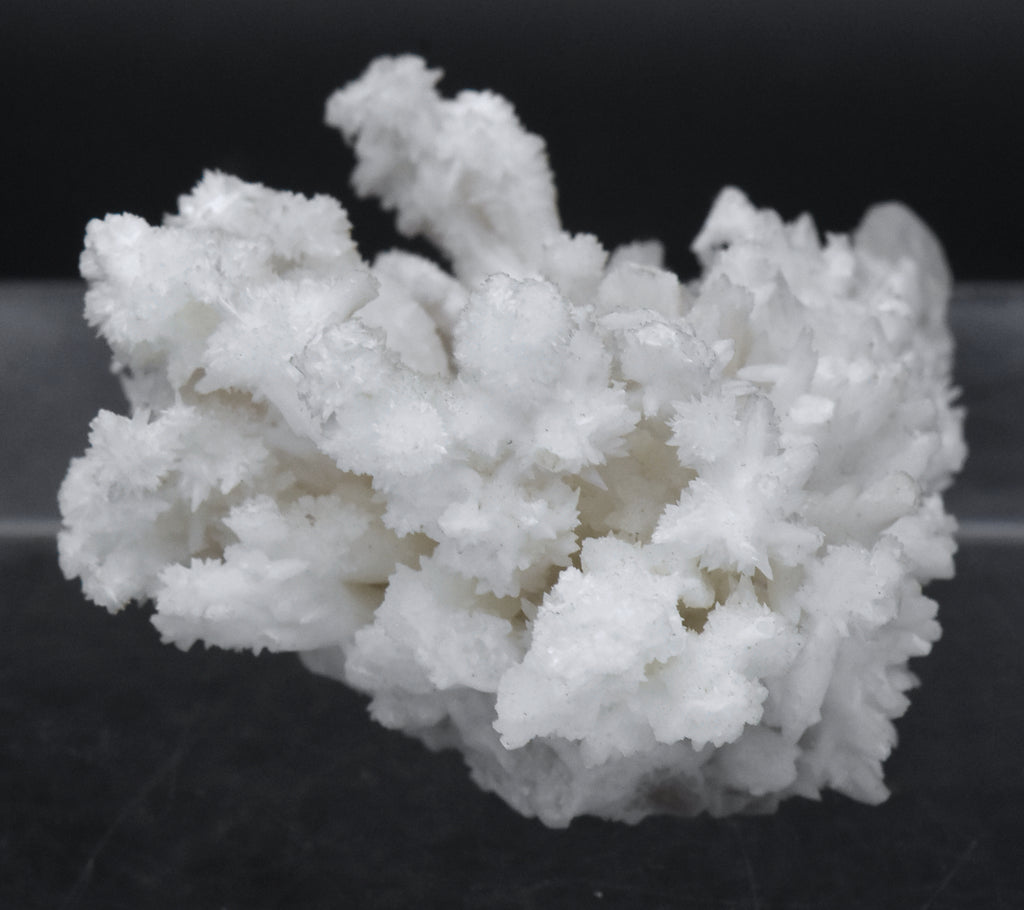 Aragonite "Flos Ferri" Crystal Cluster