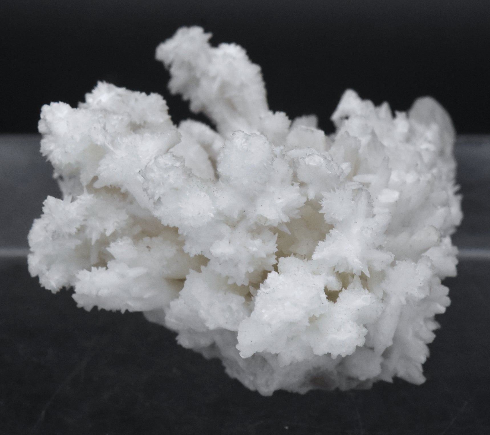 Aragonite "Flos Ferri" Crystal Cluster