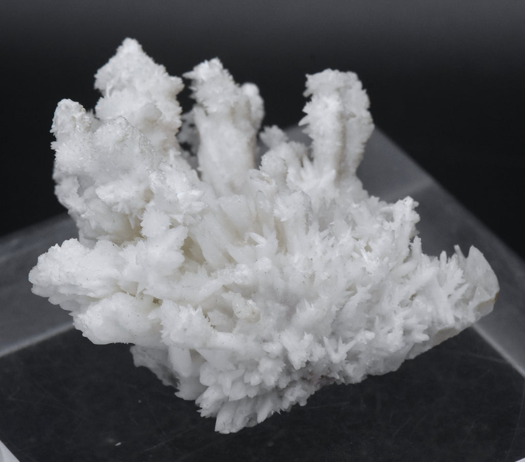 Aragonite "Flos Ferri" Crystal Cluster