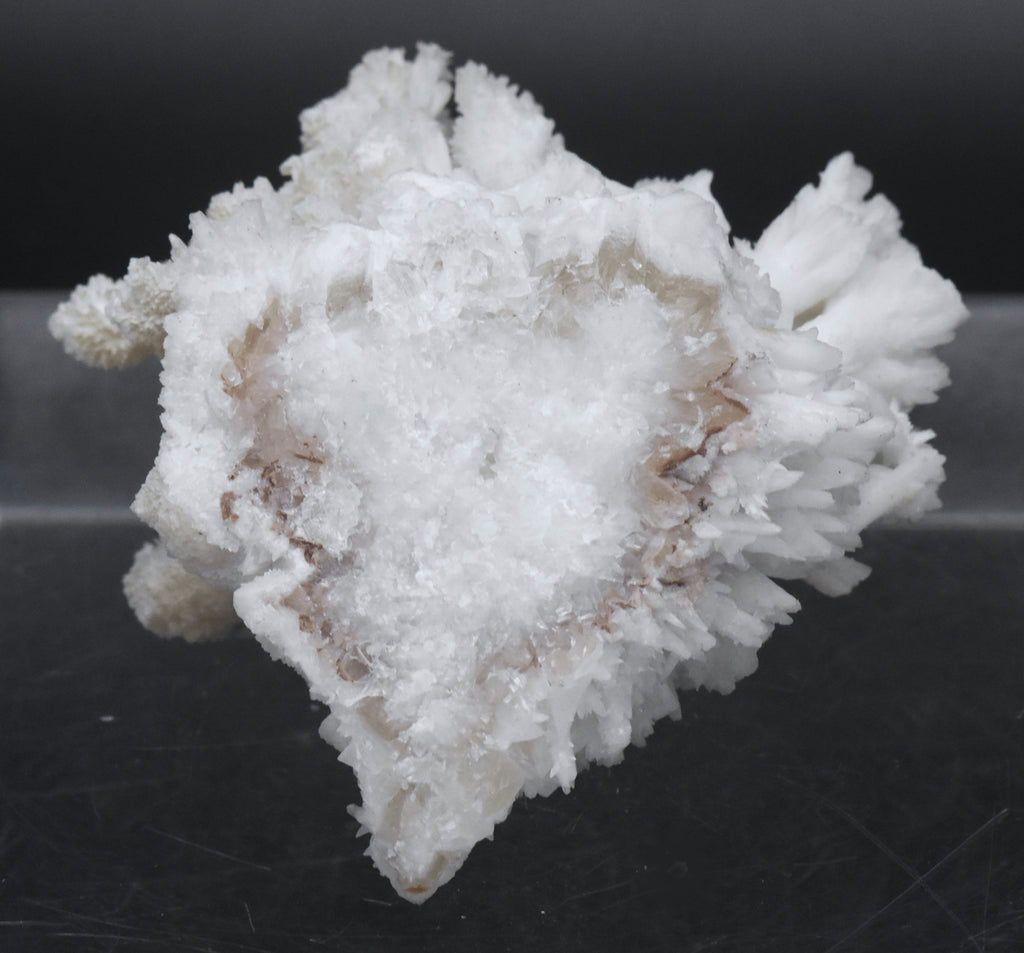 Aragonite "Flos Ferri" Crystal Cluster