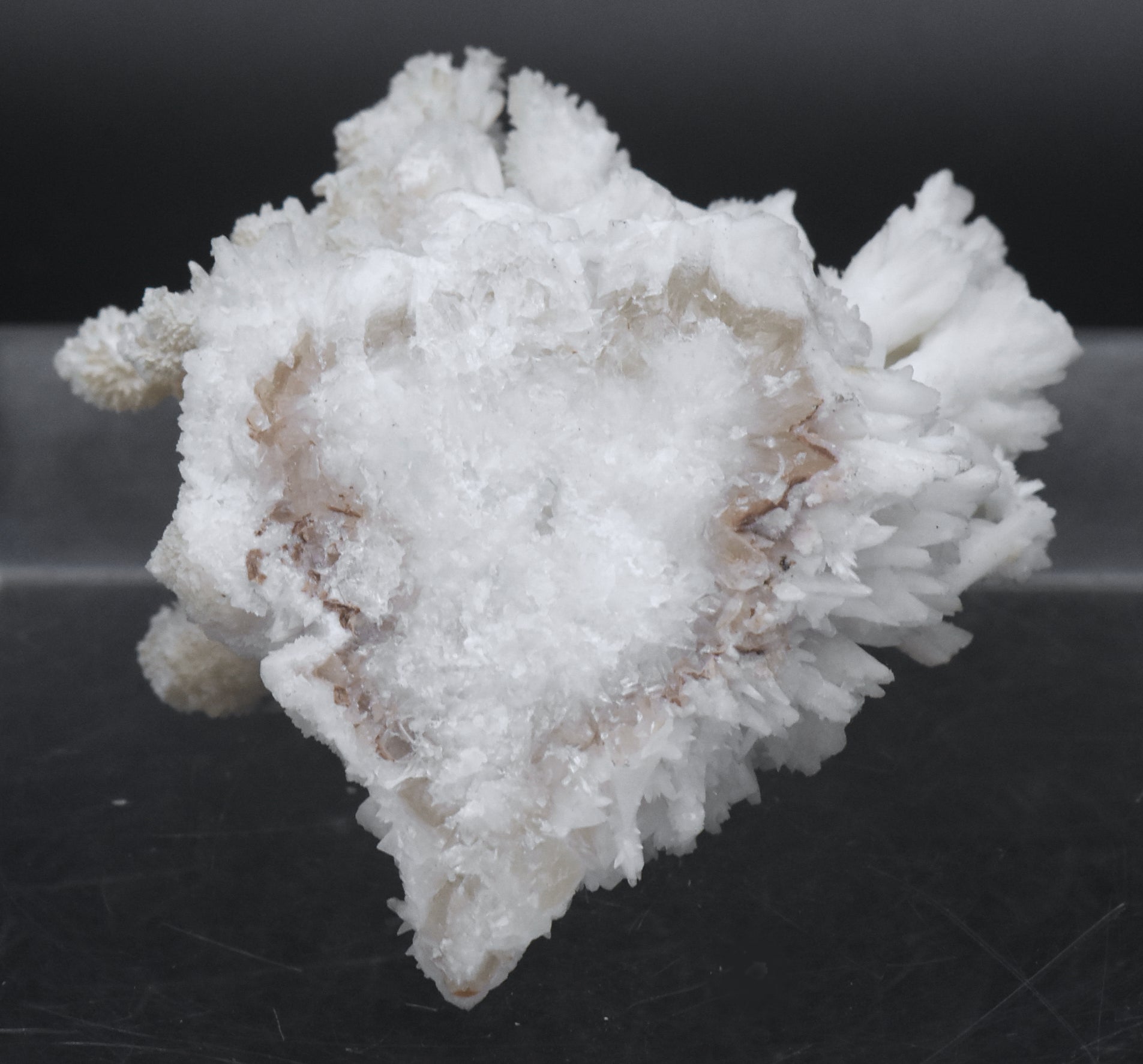 Aragonite "Flos Ferri" Crystal Cluster