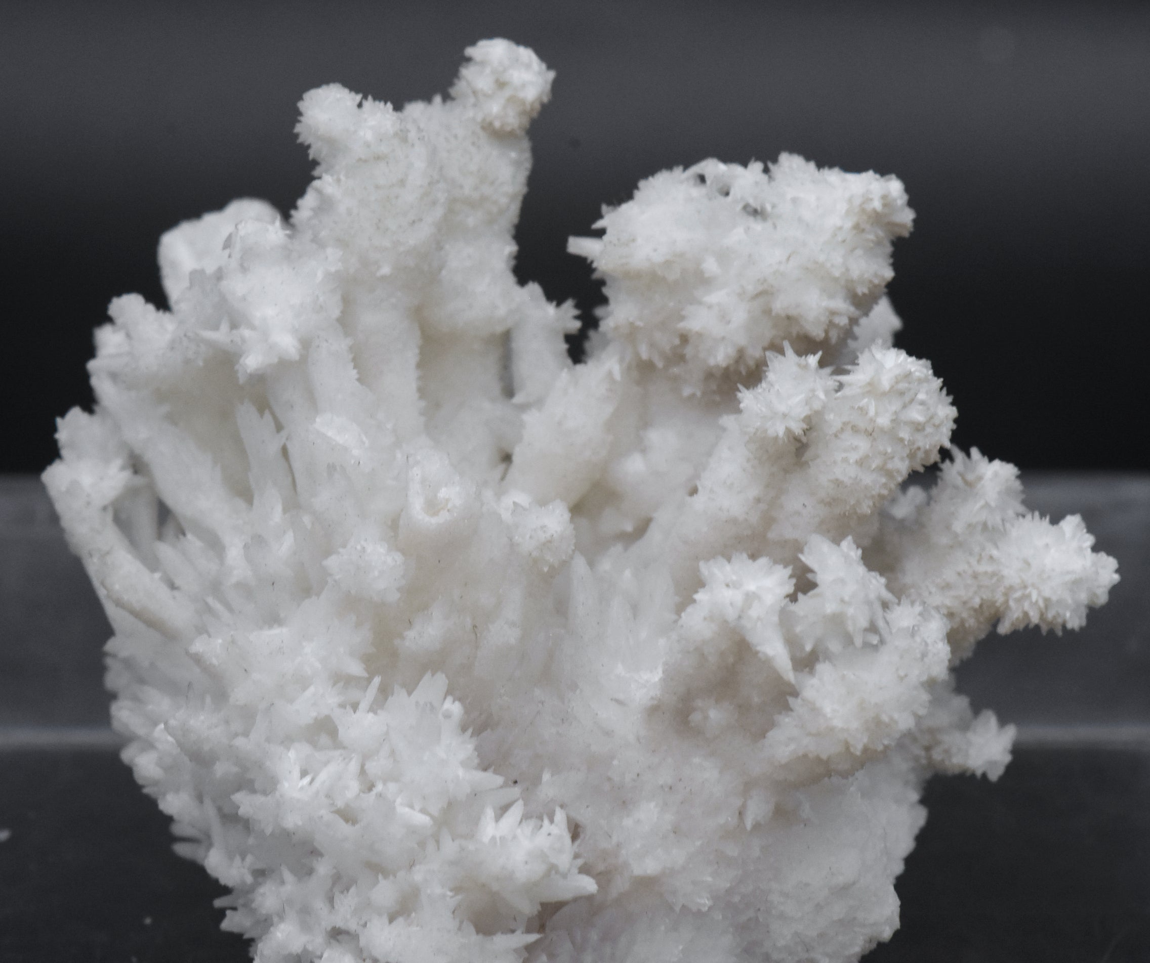 Aragonite "Flos Ferri" Crystal Cluster