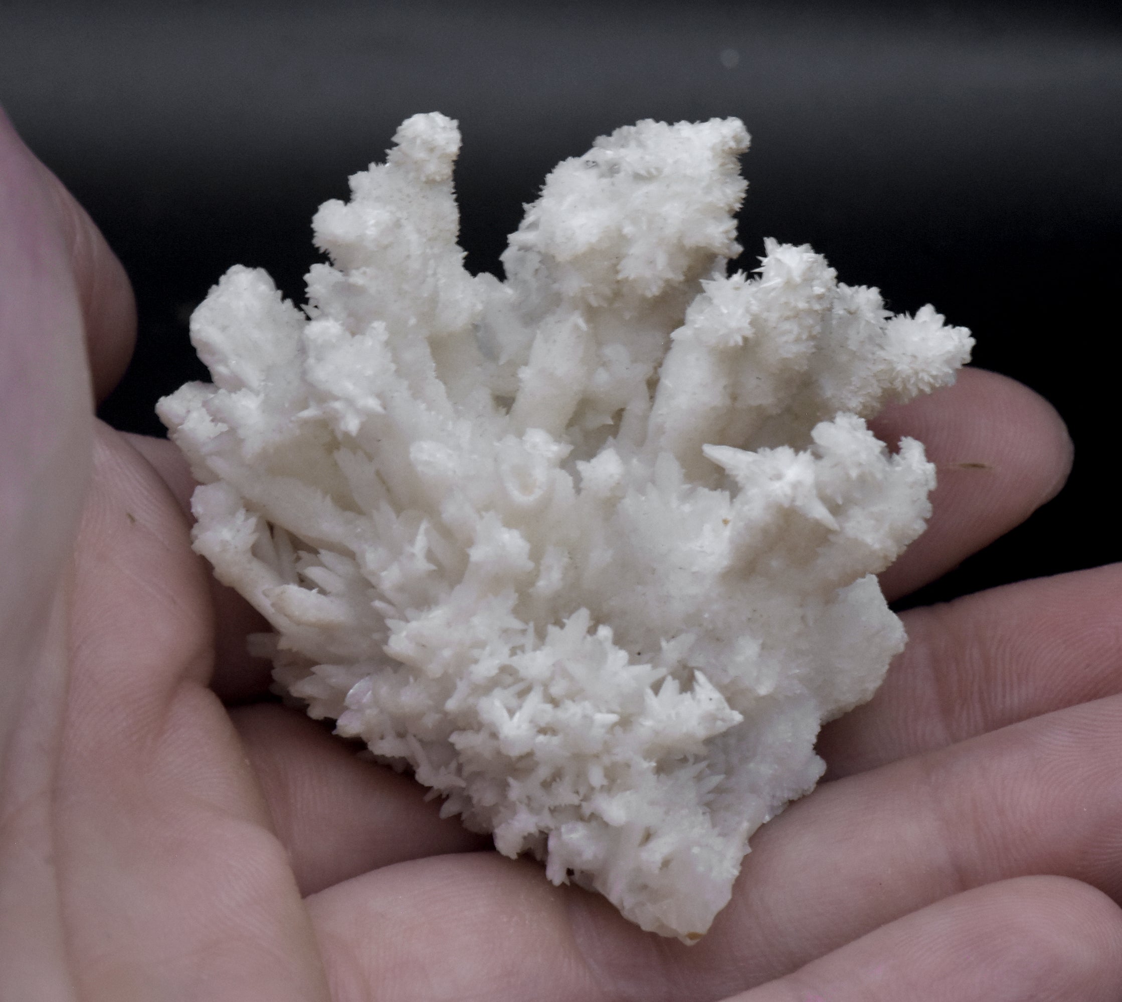 Aragonite "Flos Ferri" Crystal Cluster