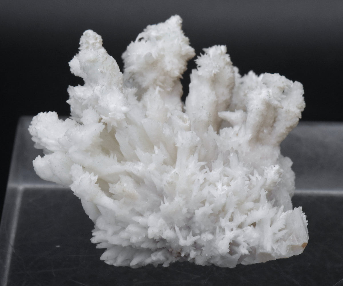 Aragonite "Flos Ferri" Crystal Cluster