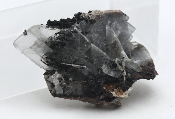 Barite Bladed Crystal Cluster Mineral Specimen - Georgia, USA