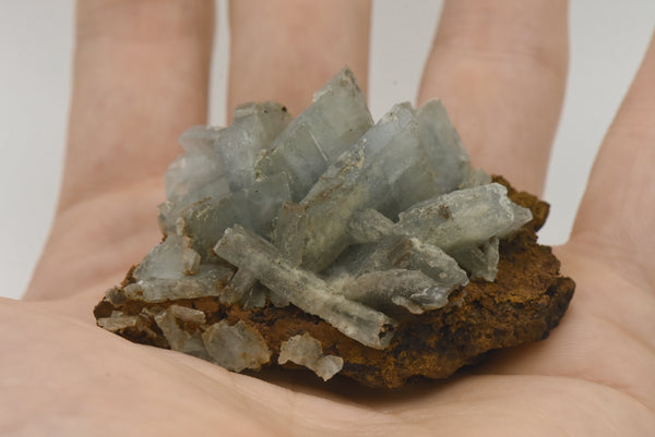 Barite Crystal Cluster on Matrix - Spain